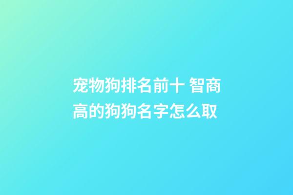 宠物狗排名前十 智商高的狗狗名字怎么取